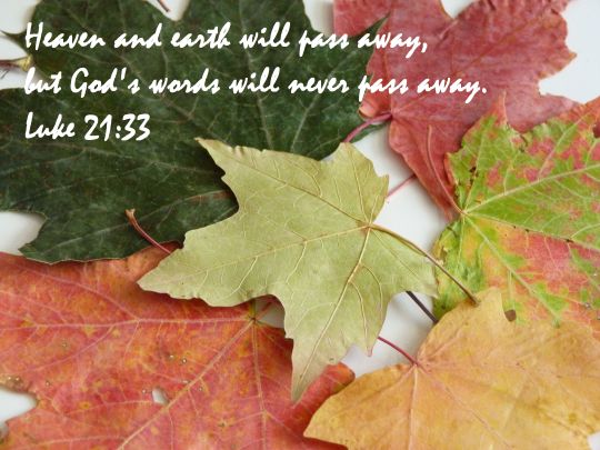 luke 21 33 2012 10 small